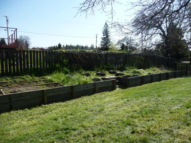 1472 Claim Stake Ct, Cool, CA 95614 photo 24