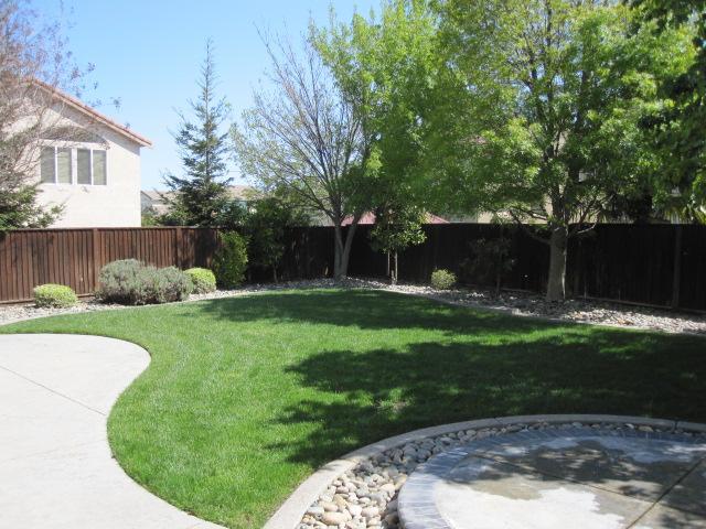 1426 Gloria Ct, Tracy, CA 95377 photo 6
