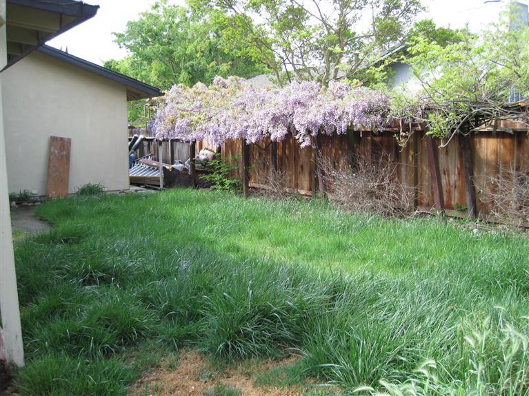 901 Guava Dr, Modesto, CA 95356 photo 10