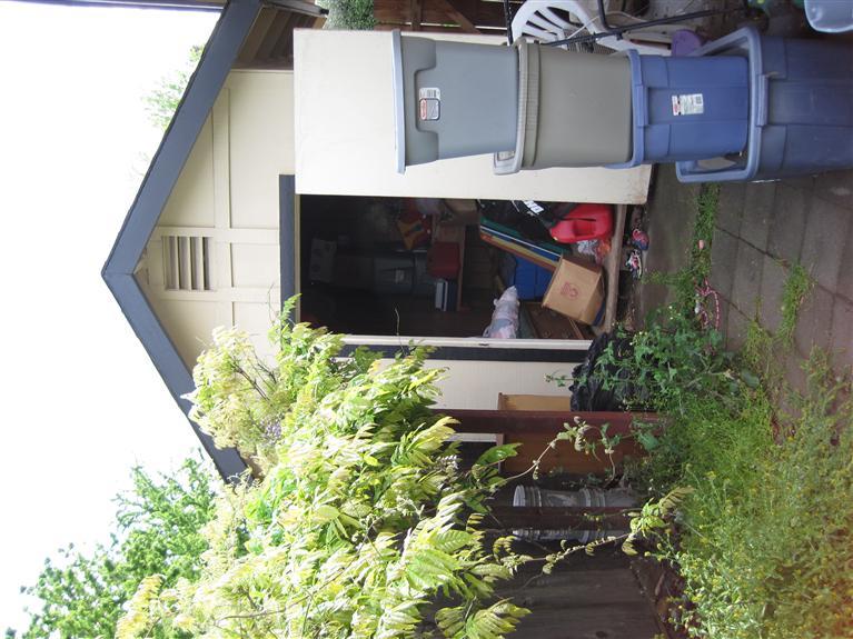 901 Guava Dr, Modesto, CA 95356 photo 9