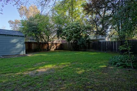 520 C St, Davis, CA 95616 photo 13