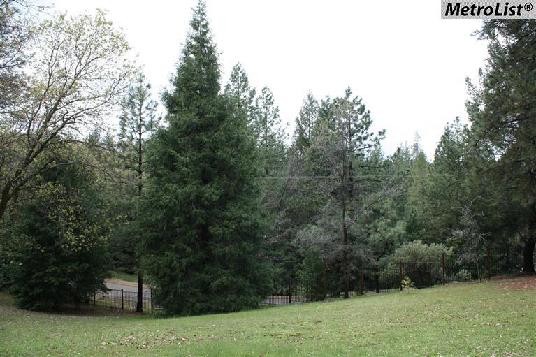 3021 Serenity Dr, Placerville, CA 95667 photo 5