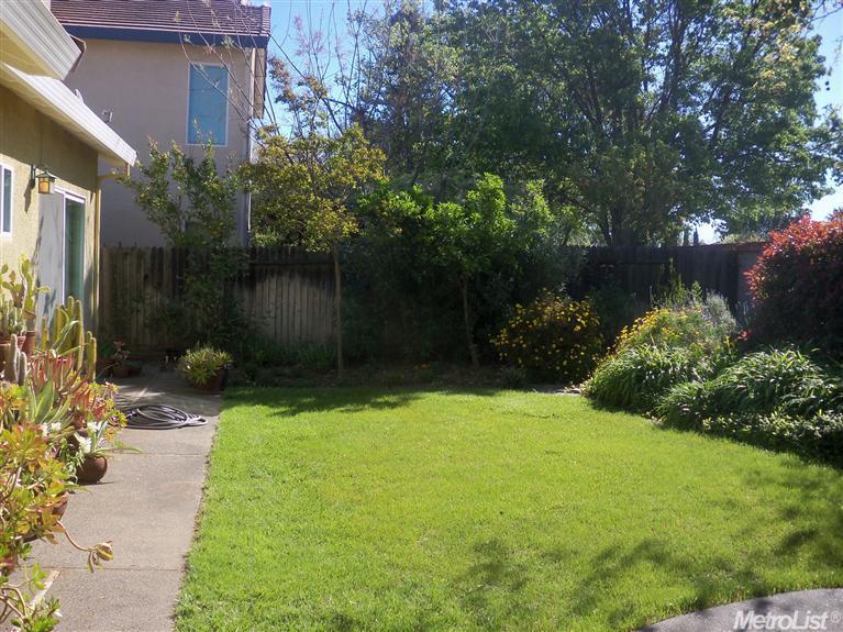 1514 Eligio Ln, Davis, CA 95618 photo 6