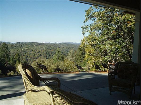 24940 Saddleback Ln, Colfax, CA 95713 photo 1