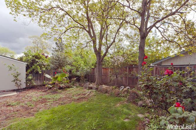 154 Ipanema Pl, Davis, CA 95616 photo 21