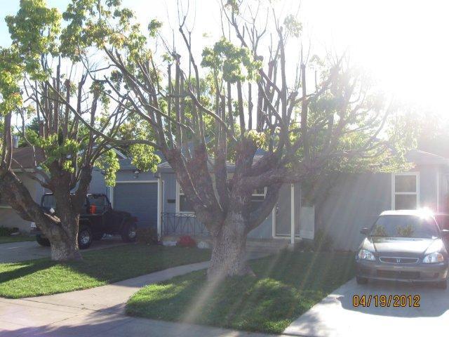 415 Cross St, Lodi, CA 95242 photo 3