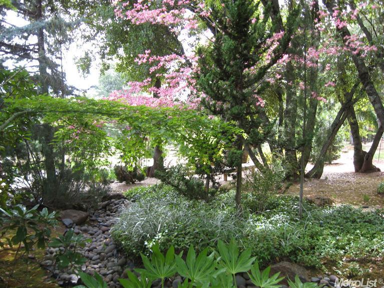6170 Cobblestone Rd, Placerville, CA 95667 photo 18