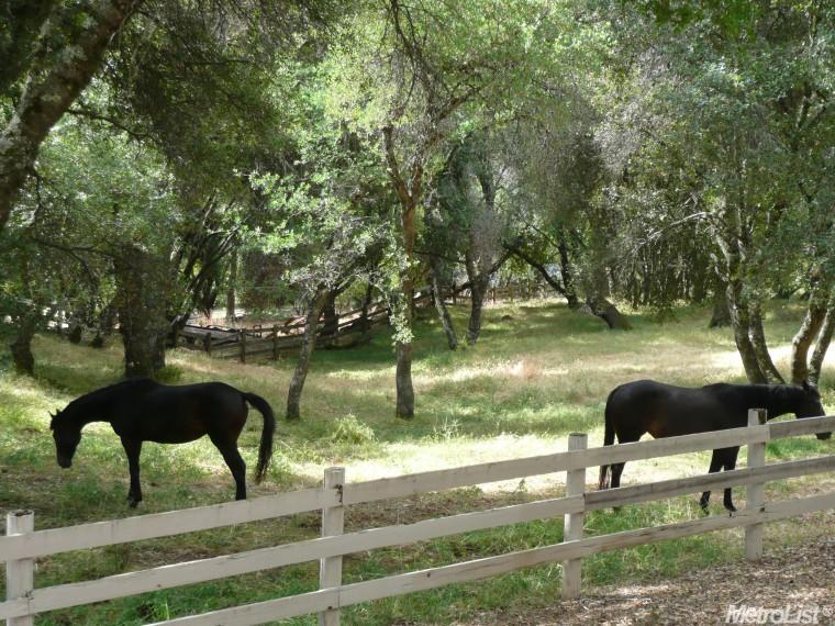 6170 Cobblestone Rd, Placerville, CA 95667 photo 21