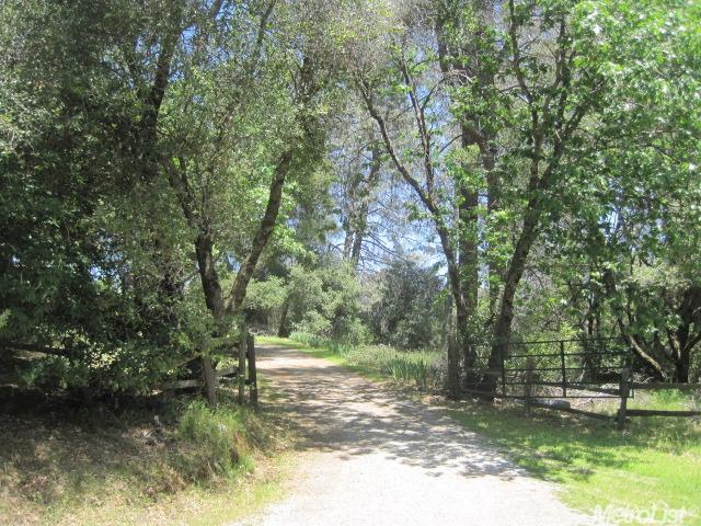 6291 Gregory Ln, Placerville, CA 95667 photo 3