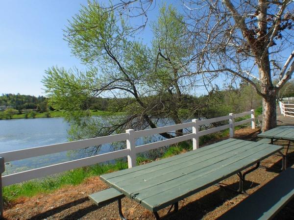 2520 Stagecoach Rd, Placerville, CA 95667 photo 25