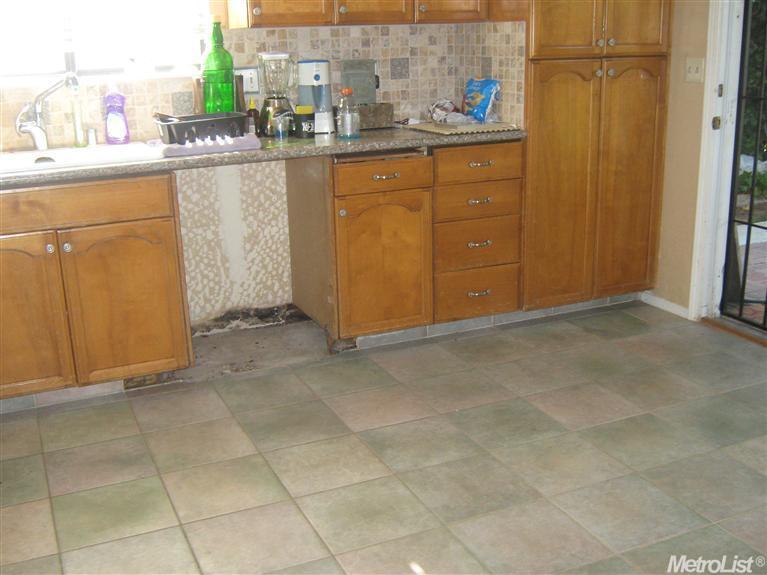 335 Finch Run, Lodi, CA 95240 photo 3