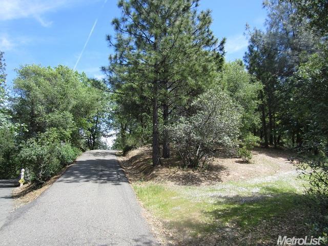 1006 Roddan Ct, Placerville, CA 95667 photo 22