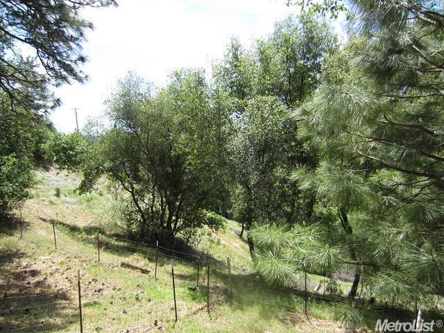 1006 Roddan Ct, Placerville, CA 95667 photo 20