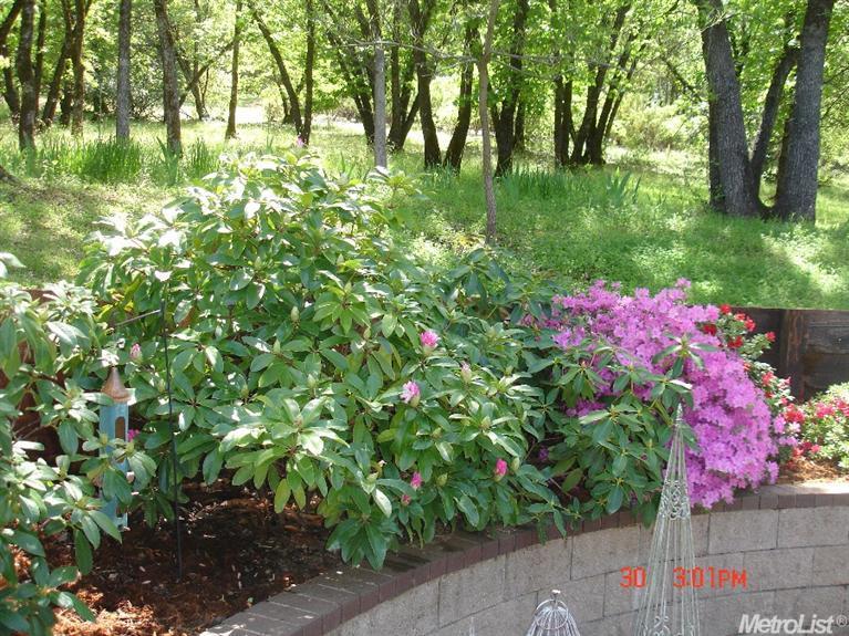 16471 Wolf Meadows Dr, Grass Valley, CA 95949 photo 10