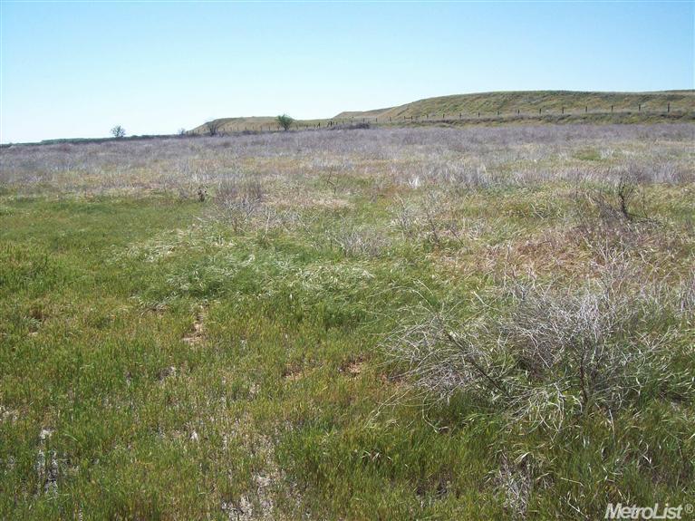 31291 Cottonwood Rd, Gustine, CA 95322 photo 5
