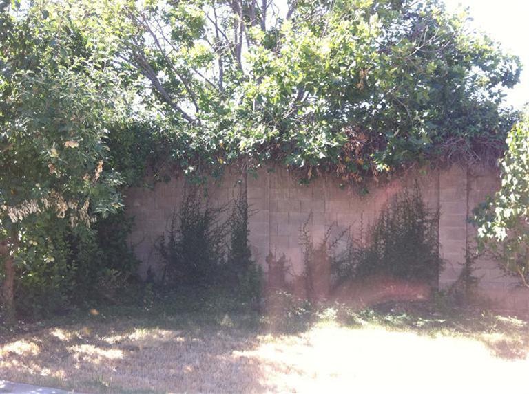 3912 El Portal Pl, Modesto, CA 95357 photo 8