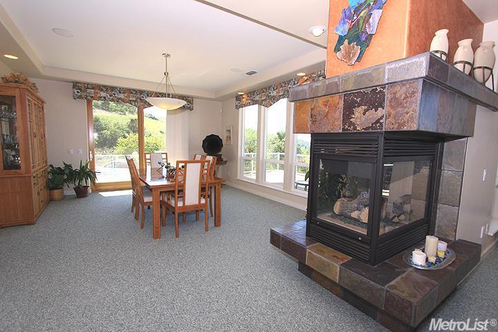 193 Spring Ln, Newcastle, CA 95658 photo 7