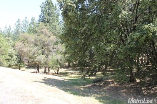 7385 Clove Rd, Placerville, CA 95667 photo 13