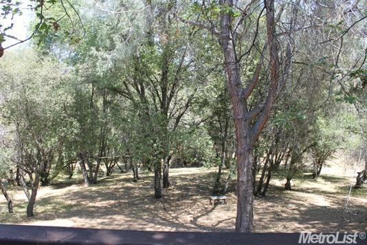 7385 Clove Rd, Placerville, CA 95667 photo 11