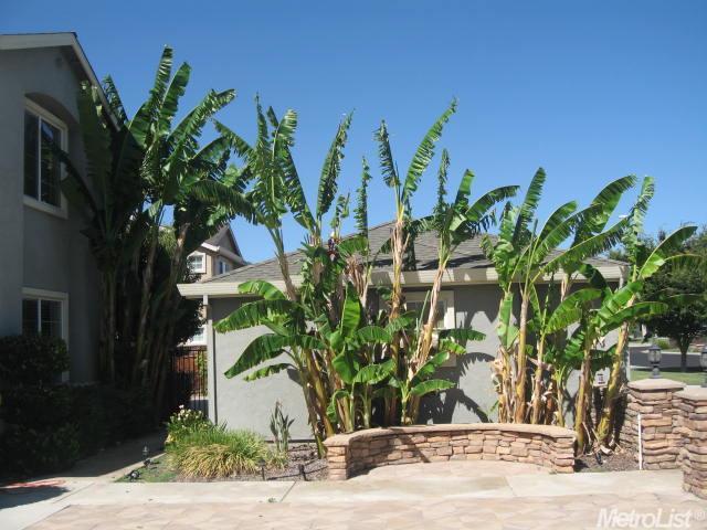 8085 W Depot Master Dr, Tracy, CA 95304 photo 3
