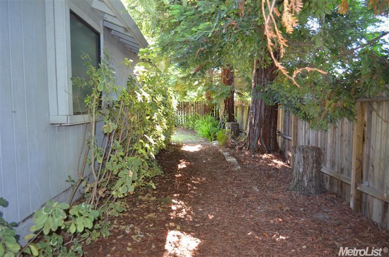 3333 Hunter Ln, Carmichael, CA 95608 photo 19