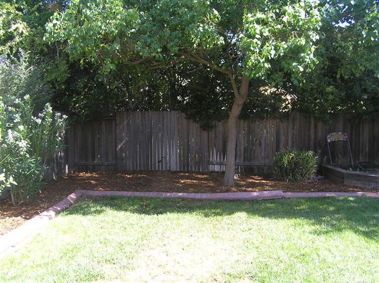 719 Peregrine Ave, Davis, CA 95616 photo 9