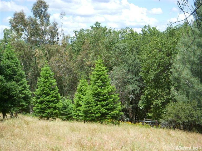 3040 Mortara Cir, Placerville, CA 95667 photo 8