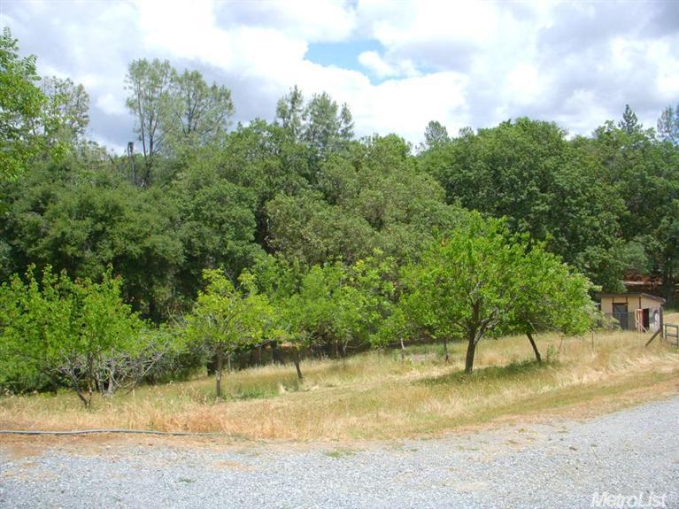 3040 Mortara Cir, Placerville, CA 95667 photo 10