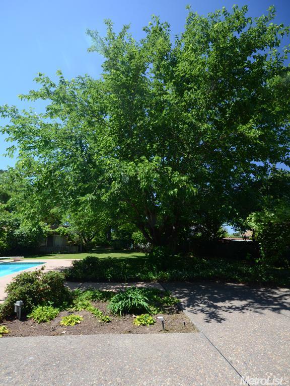 5338 Marmith Ave, Sacramento, CA 95841 photo 9