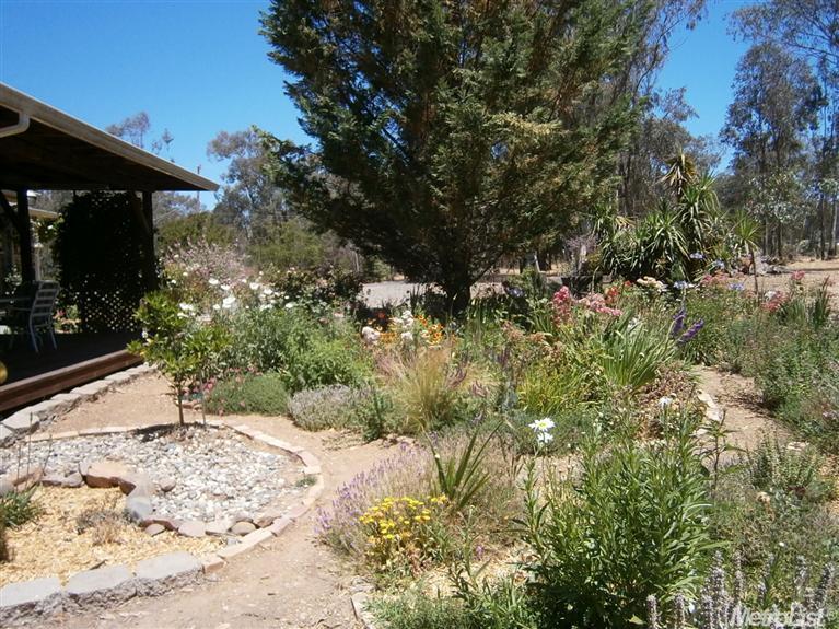 13410 Bennett Rd, Herald, CA 95638 photo 14