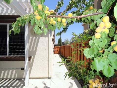 16959 Bellchase Rd, Lathrop, CA 95330 photo 13