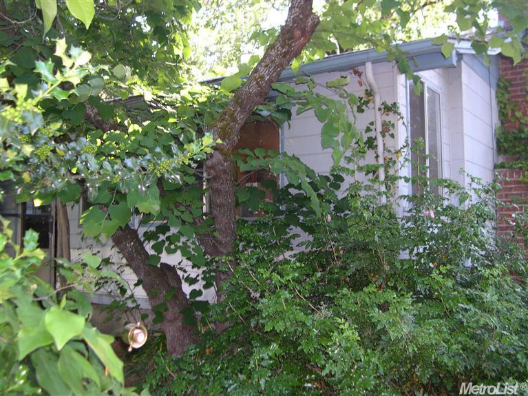 3228 Gerle Ave, Placerville, CA 95667 photo 5
