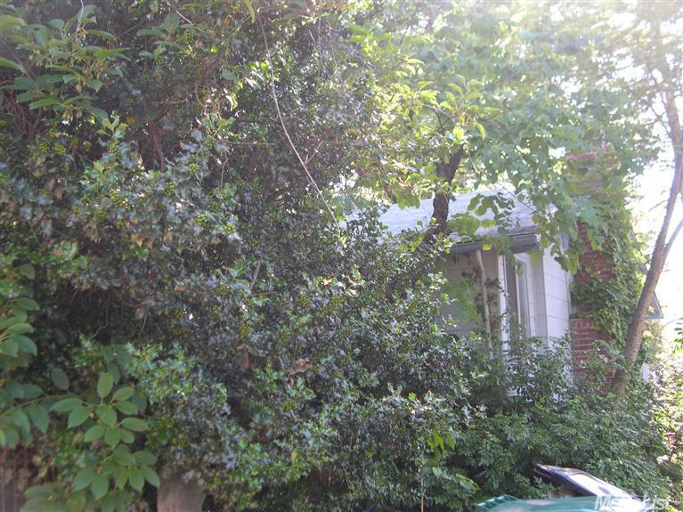 3228 Gerle Ave, Placerville, CA 95667 photo 4