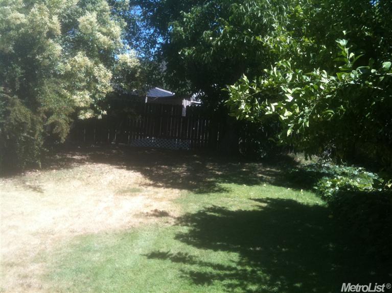 341 E Locust St, Lodi, CA 95240 photo 5