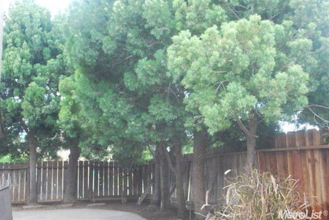 4108 Godfrey Dr, Salida, CA 95368 photo 9