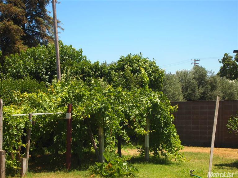 2920 9th St, Ceres, CA 95307 photo 3