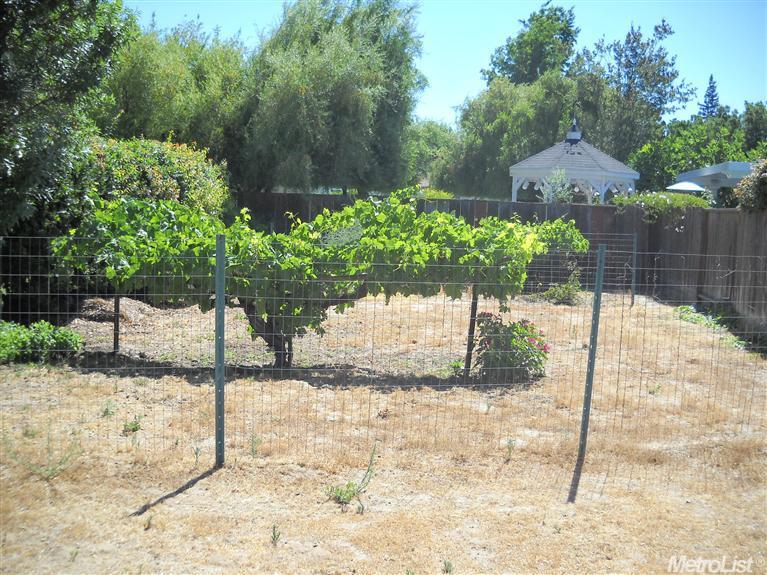3308 Benton Cir, Modesto, CA 95350 photo 17