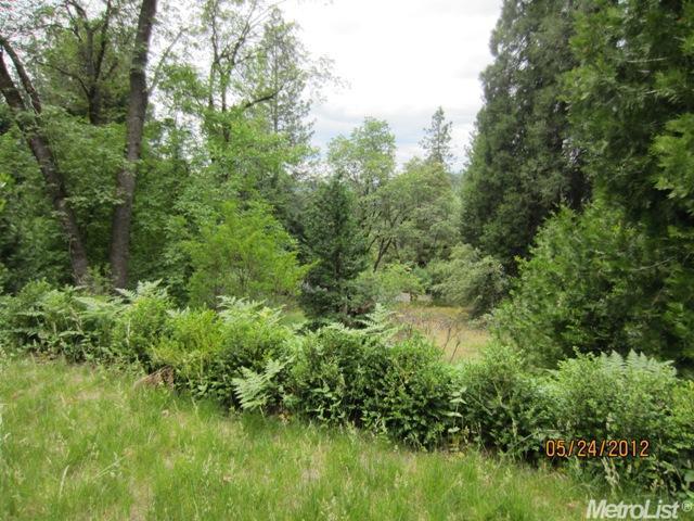 11900 Lower Colfax Rd, Grass Valley, CA 95945 photo 22