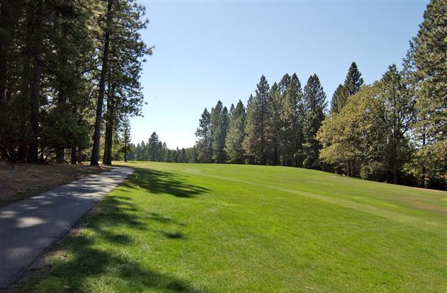 15758 Carrie Dr, Grass Valley, CA 95949 photo 16