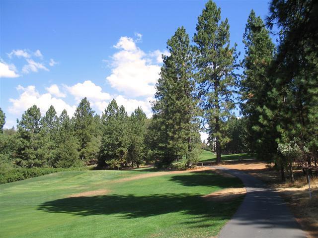 15758 Carrie Dr, Grass Valley, CA 95949 photo 15