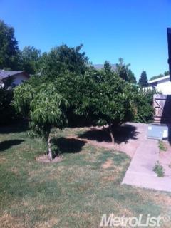 2317 Brockway Dr, Modesto, CA 95355 photo 5