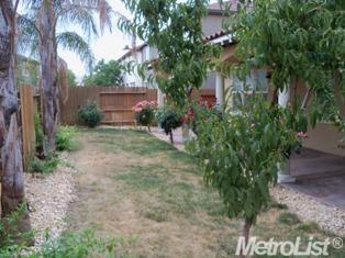 1404 Cliff Swallow Dr, Patterson, CA 95363 photo 22