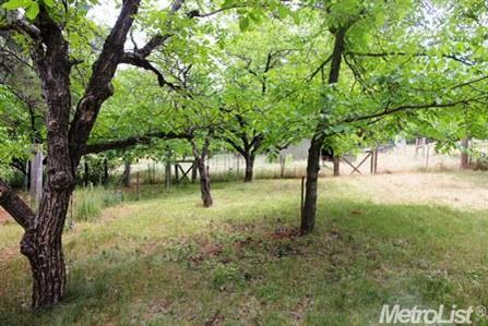 12635 Burma Rd, Grass Valley, CA 95945 photo 5