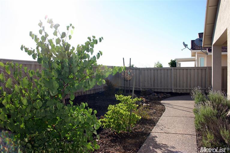 2999 Coopers Hawk Loop, Lincoln, CA 95648 photo 23