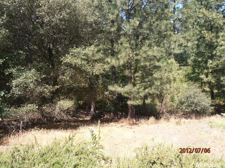 2268 Olympia Ln, Placerville, CA 95667 photo 19