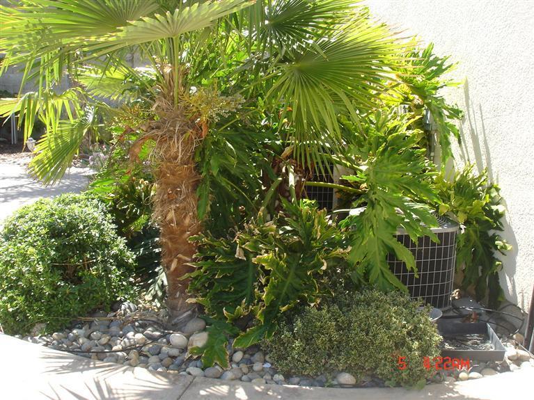 2585 Storey Ct, Tracy, CA 95377 photo 15