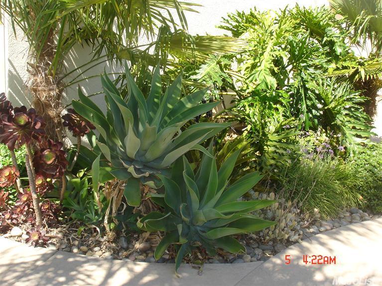 2585 Storey Ct, Tracy, CA 95377 photo 21