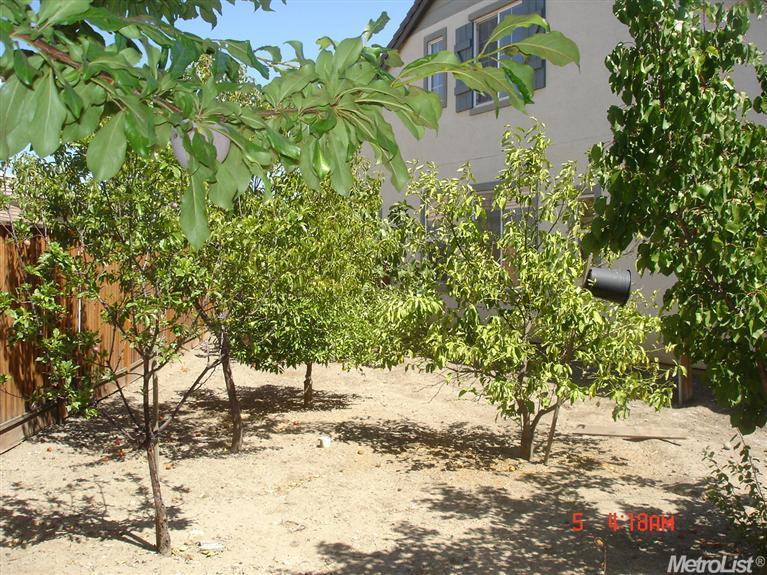 2585 Storey Ct, Tracy, CA 95377 photo 6