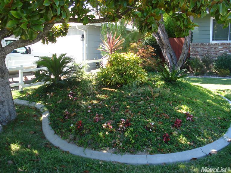 6059 Woodhaven Ave, Carmichael, CA 95608 photo 23