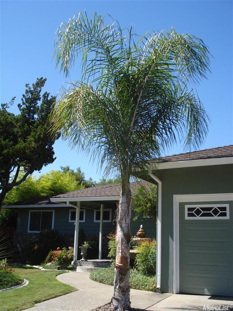 6059 Woodhaven Ave, Carmichael, CA 95608 photo 22